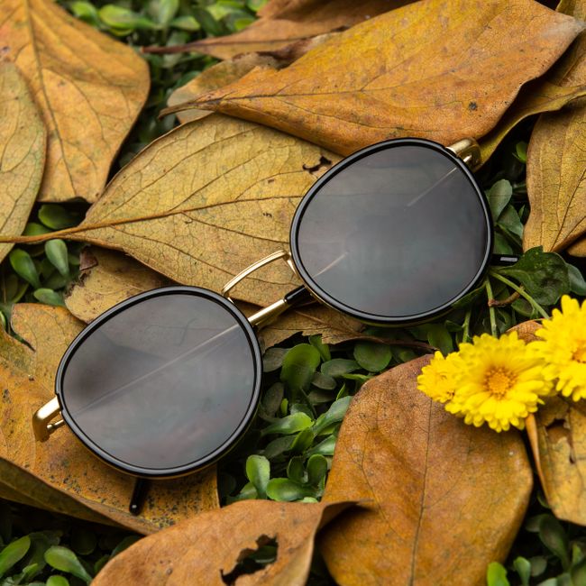 Aviator Original – Okulena